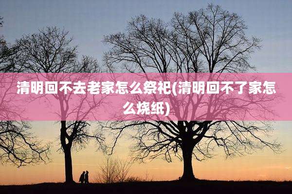 清明回不去老家怎么祭祀(清明回不了家怎么烧纸)