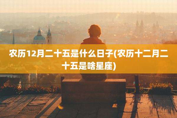 农历12月二十五是什么日子(农历十二月二十五是啥星座)