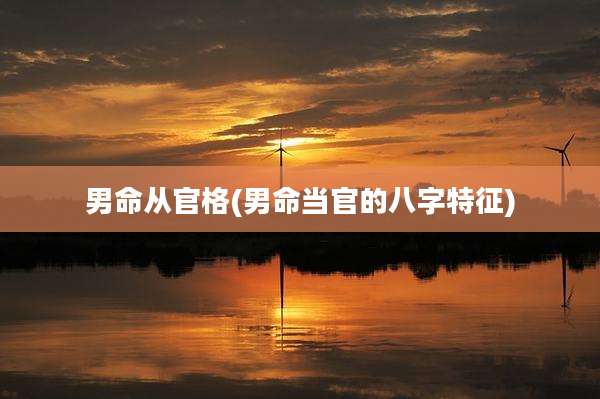 男命从官格(男命当官的八字特征)