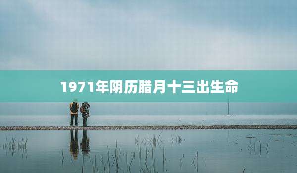 1971年阴历腊月十三出生命