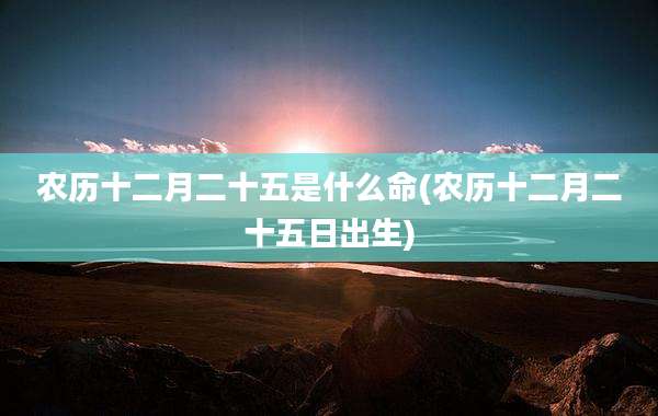 农历十二月二十五是什么命(农历十二月二十五日出生)