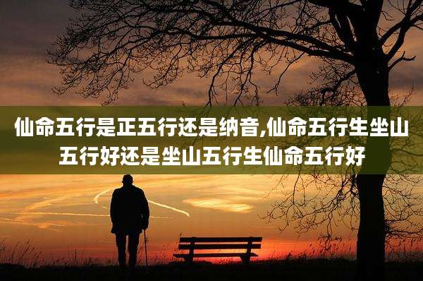 仙命五行是正五行还是纳音,仙命五行生坐山五行好还是坐山五行生仙命五行好