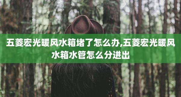 五菱宏光暖风水箱堵了怎么办,五菱宏光暖风水箱水管怎么分进出