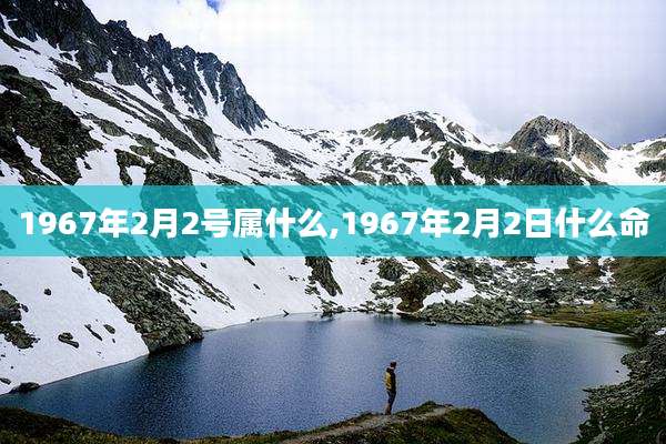 1967年2月2号属什么,1967年2月2日什么命