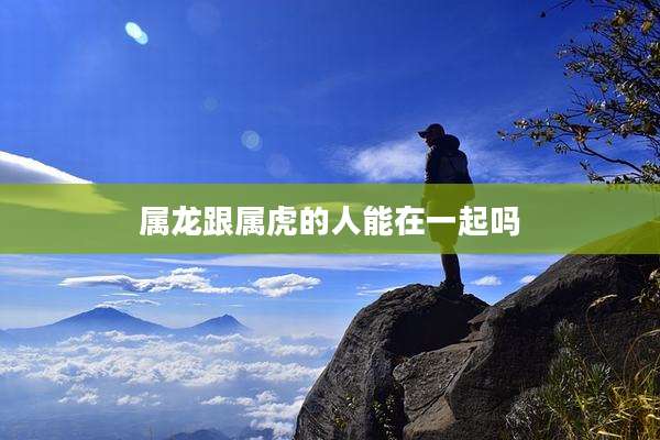 属龙跟属虎的人能在一起吗