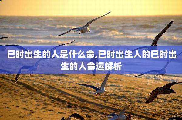 巳时出生的人是什么命,巳时出生人的巳时出生的人命运解析