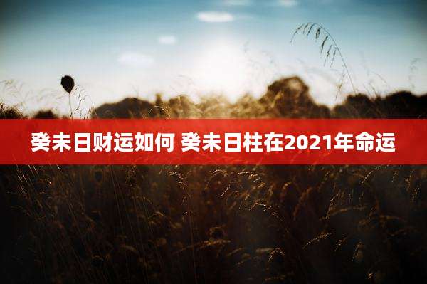 癸未日财运如何 癸未日柱在2021年命运