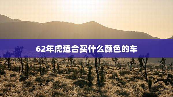 62年虎适合买什么颜色的车