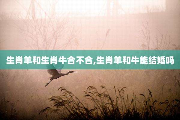 生肖羊和生肖牛合不合,生肖羊和牛能结婚吗