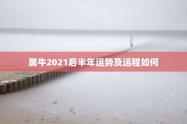 属牛2021后半年运势及运程如何