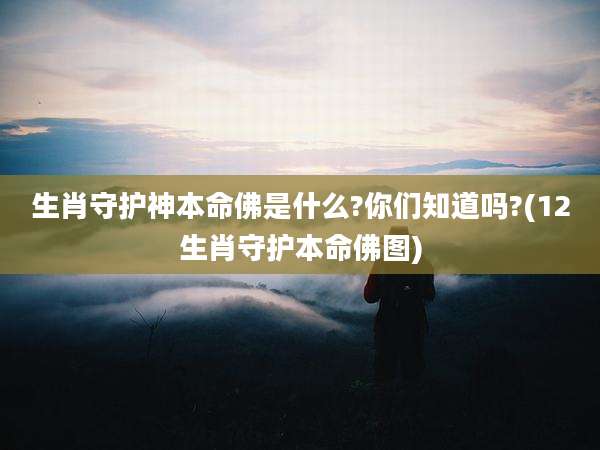 生肖守护神本命佛是什么?你们知道吗?(12生肖守护本命佛图)