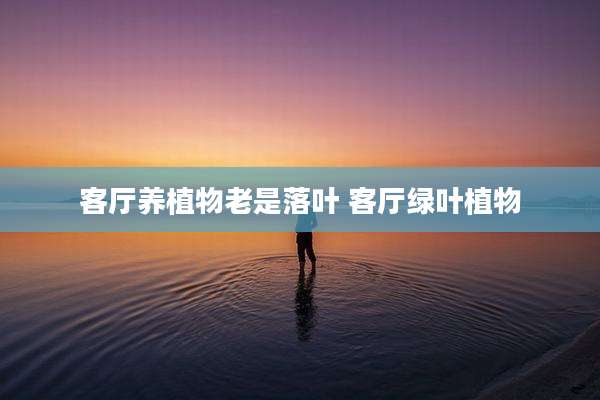 客厅养植物老是落叶 客厅绿叶植物