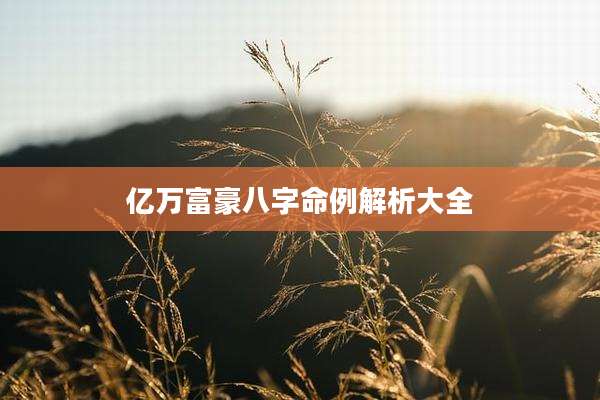 亿万富豪八字命例解析大全