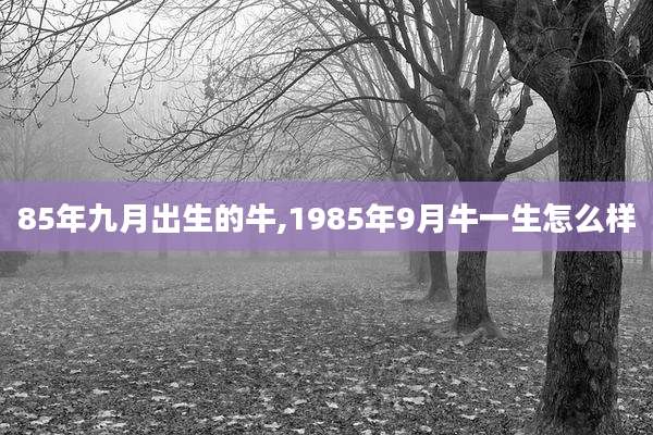 85年九月出生的牛,1985年9月牛一生怎么样
