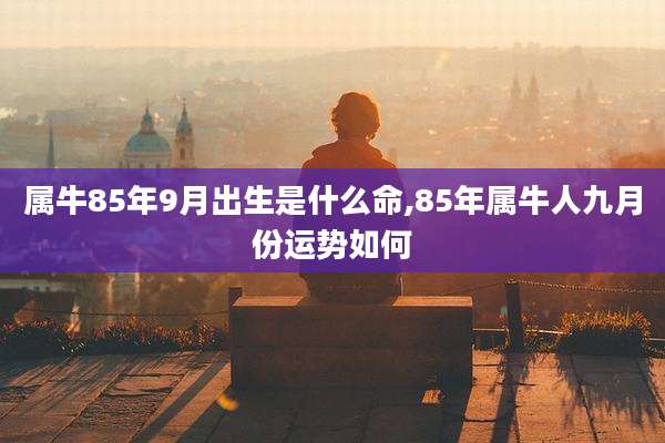 属牛85年9月出生是什么命,85年属牛人九月份运势如何