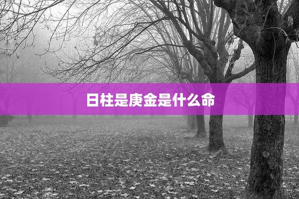 日柱是庚金是什么命