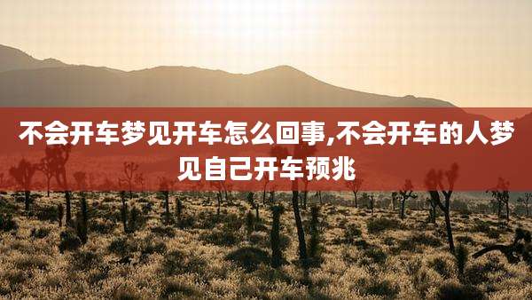不会开车梦见开车怎么回事,不会开车的人梦见自己开车预兆