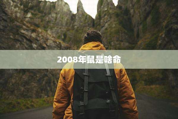 2008年鼠是啥命
