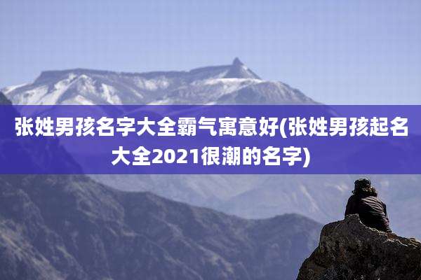 张姓男孩名字大全霸气寓意好(张姓男孩起名大全2021很潮的名字)