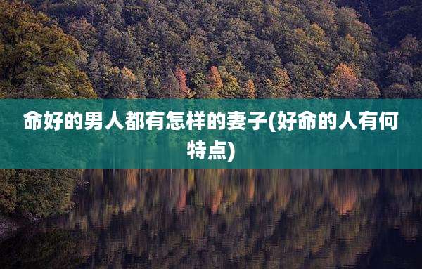 命好的男人都有怎样的妻子(好命的人有何特点)