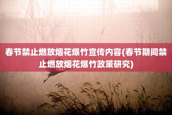 春节禁止燃放烟花爆竹宣传内容(春节期间禁止燃放烟花爆竹政策研究)