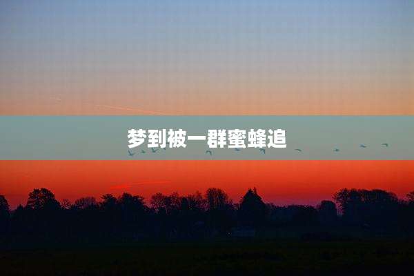 梦到被一群蜜蜂追