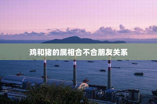鸡和猪的属相合不合朋友关系