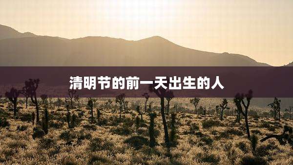 清明节的前一天出生的人