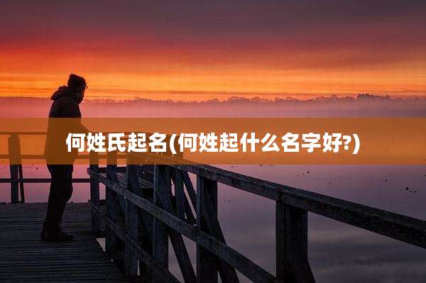何姓氏起名(何姓起什么名字好?)