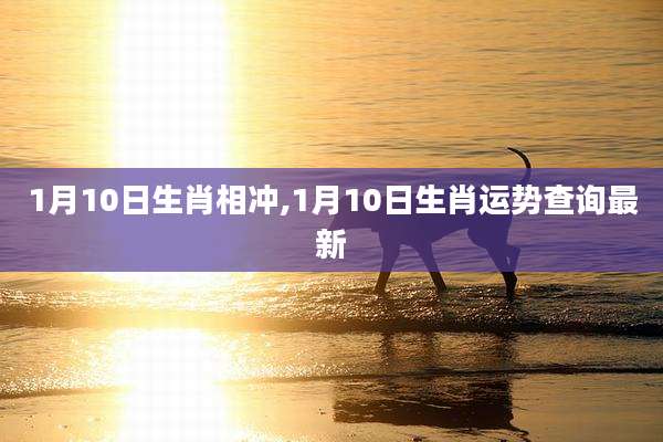 1月10日生肖相冲,1月10日生肖运势查询最新