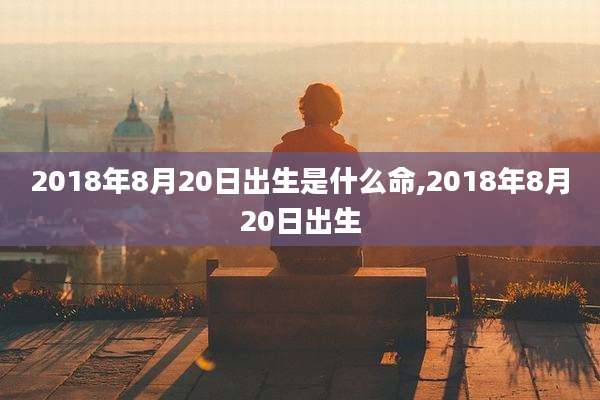 2018年8月20日出生是什么命,2018年8月20日出生