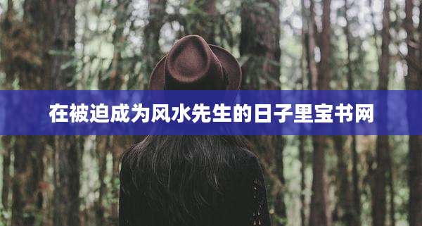 在被迫成为风水先生的日子里宝书网