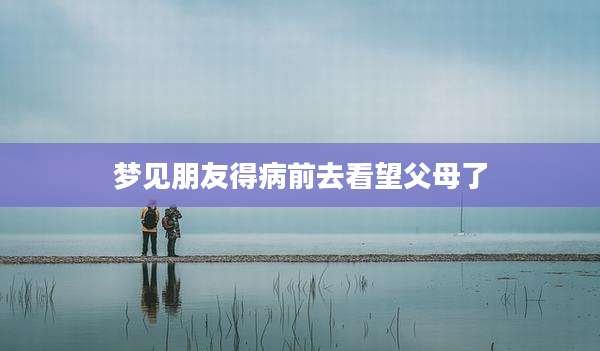 梦见朋友得病前去看望父母了