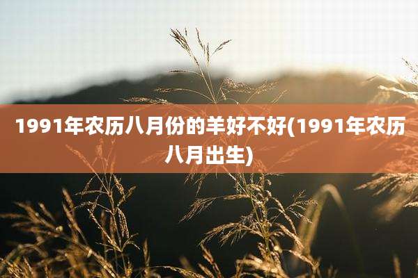 1991年农历八月份的羊好不好(1991年农历八月出生)
