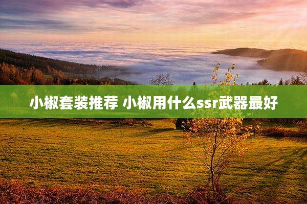 小椒套装推荐 小椒用什么ssr武器最好
