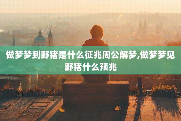 做梦梦到野猪是什么征兆周公解梦,做梦梦见野猪什么预兆