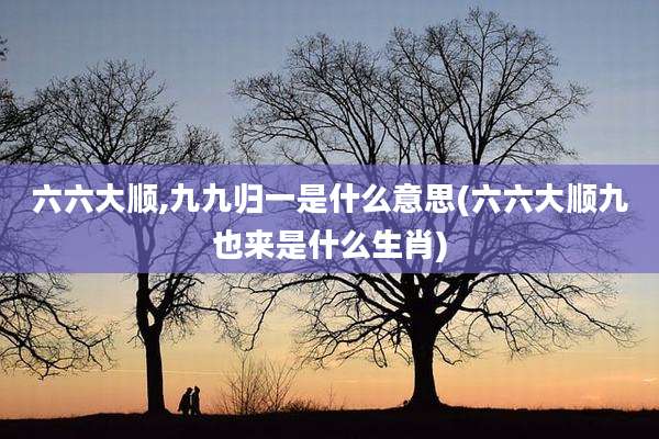 六六大顺,九九归一是什么意思(六六大顺九也来是什么生肖)
