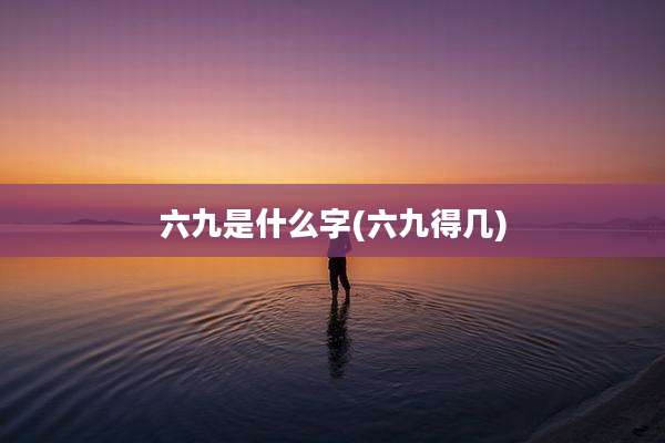 六九是什么字(六九得几)