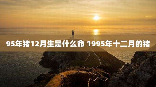 95年猪12月生是什么命 1995年十二月的猪