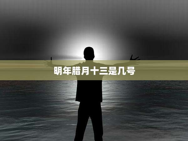 明年腊月十三是几号