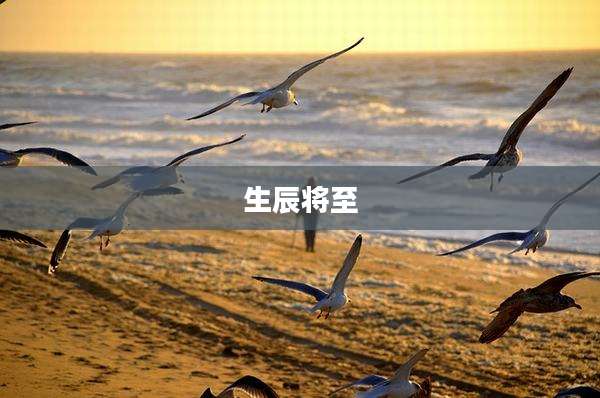 生辰将至
