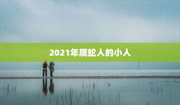 2021年属蛇人的小人