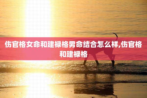 伤官格女命和建禄格男命结合怎么样,伤官格和建禄格