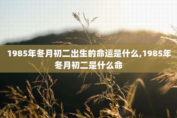 1985年冬月初二出生的命运是什么,1985年冬月初二是什么命