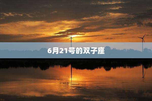 6月21号的双子座