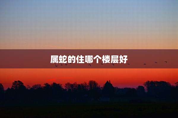 属蛇的住哪个楼层好