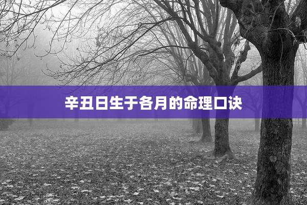 辛丑日生于各月的命理口诀