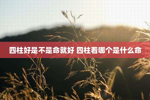 四柱好是不是命就好 四柱看哪个是什么命