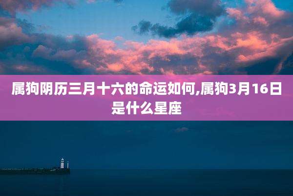 属狗阴历三月十六的命运如何,属狗3月16日是什么星座