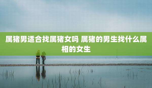 属猪男适合找属猪女吗 属猪的男生找什么属相的女生